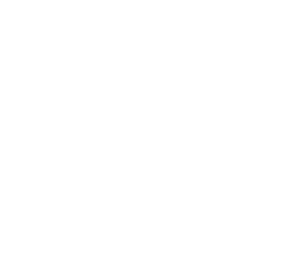 Vybe Vacations