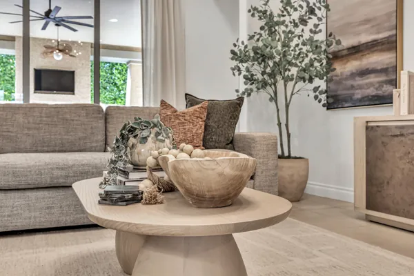 Experience the elegance of modern real estate photography in Mesa, AZ, capturing a stylish living room interior on e Telemetry Dr.